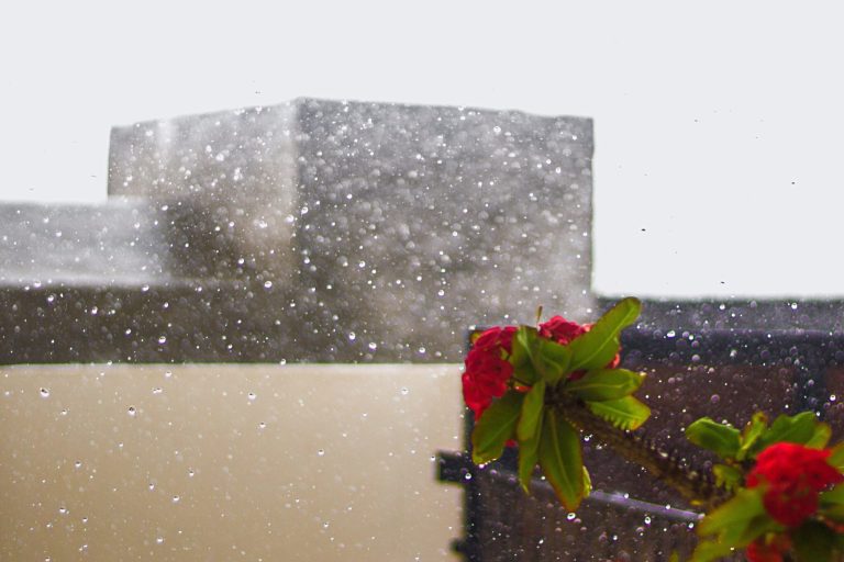 previsioni-meteo:-pioggia-e-neve-ritornano-nel-weekend,-vediamo-dove