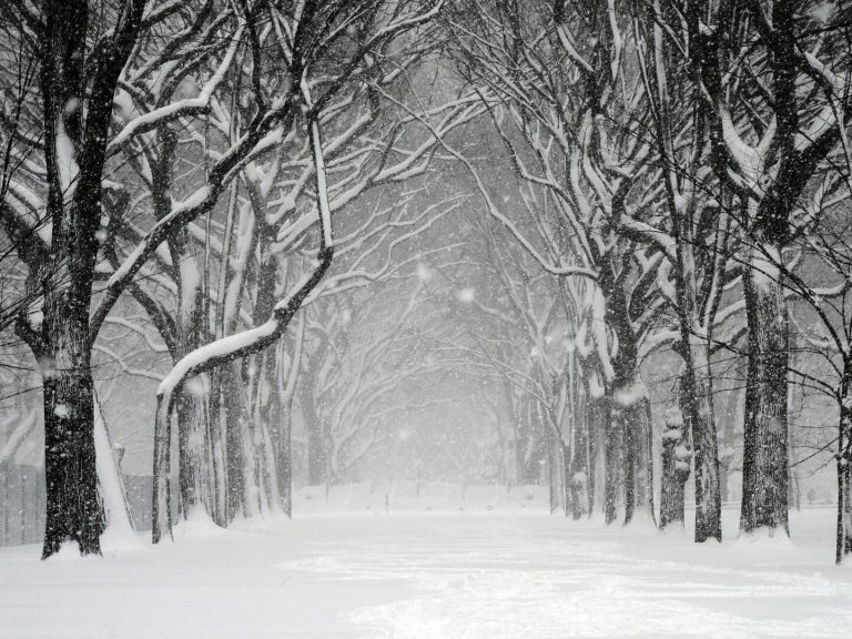 Neve in pianura al Nord a medio – lungo termine