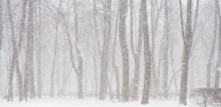 Meteo: il gelo vuole dominare, lotta aperta con l’anticiclone