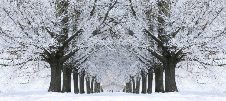 La nevicata dell’Epifania 2009: un evento storico per il Nord Italia