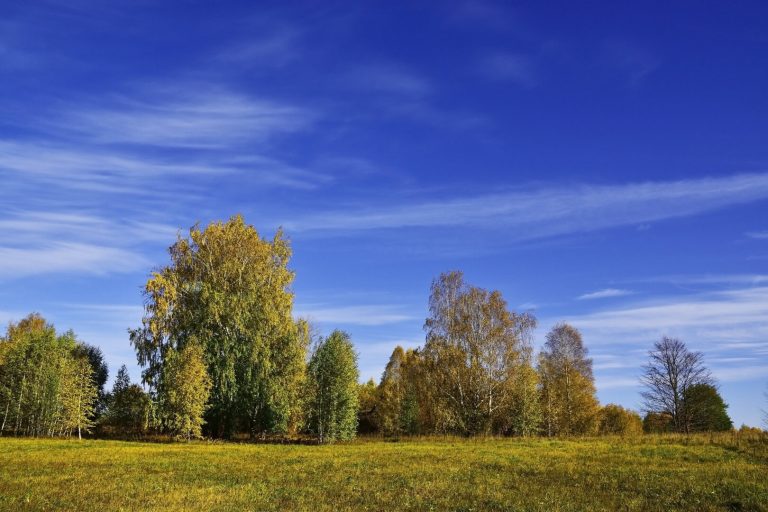 L’irruzione di aria fredda e l’anticiclone che domina l’inverno