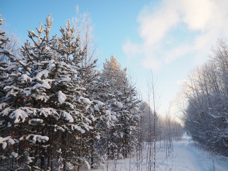 neve-a-bassa-quota-nel-fine-settimana,-le-regioni-coinvolte
