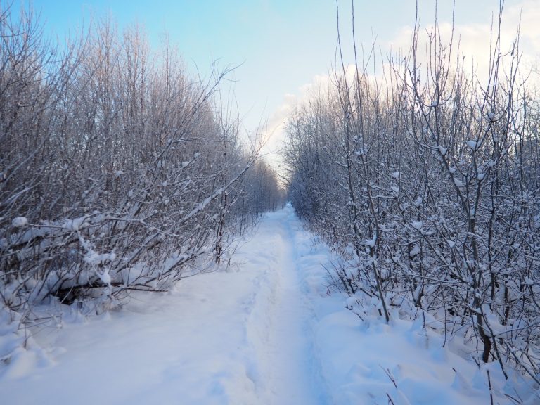 meteo-inverno-2025:-lo-stratwarming-potrebbe-stravolgere-il-clima-europeo-e-italiano