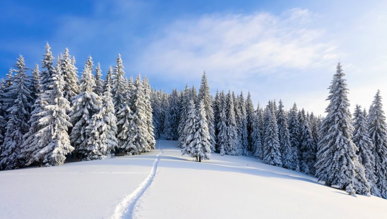 Meteo di metà gennaio: l’inverno si concede una pausa, ma il freddo tornerà con forza