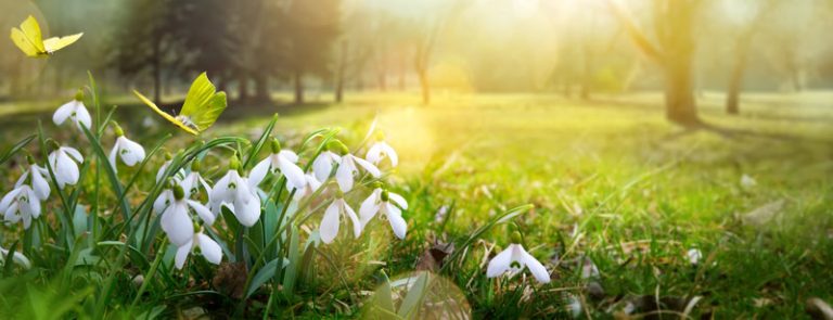 Meteo: ecco l’anticiclone che si mangia l’inverno. Vediamo dove