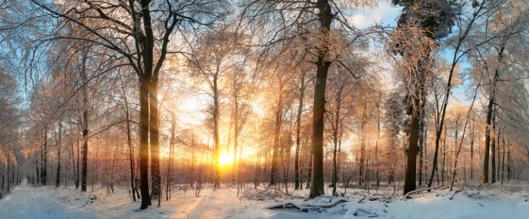 Meteo: possente anticiclone mangia inverno sale in cattedra