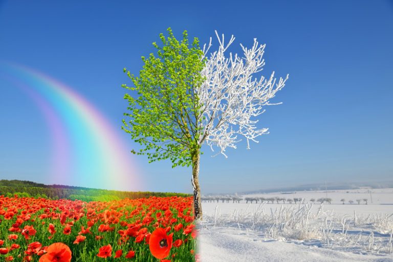 Meteo ultima parte di Gennaio: gelo o mitezza?