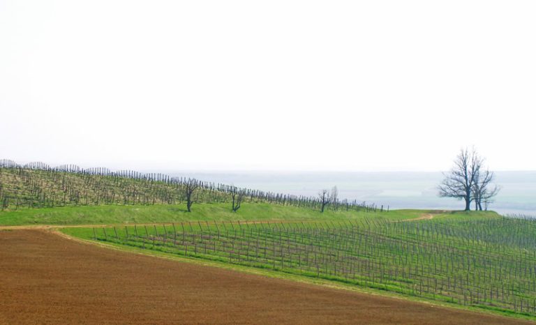 Anticiclone estivo in arrivo? No, la realtà meteo è un’altra