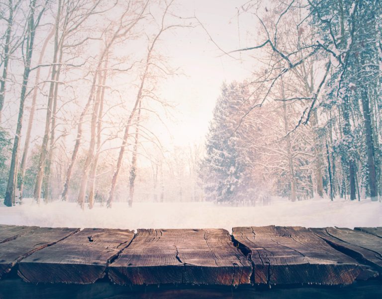 Meteo: Settimana invernale con sole, gelate e neve