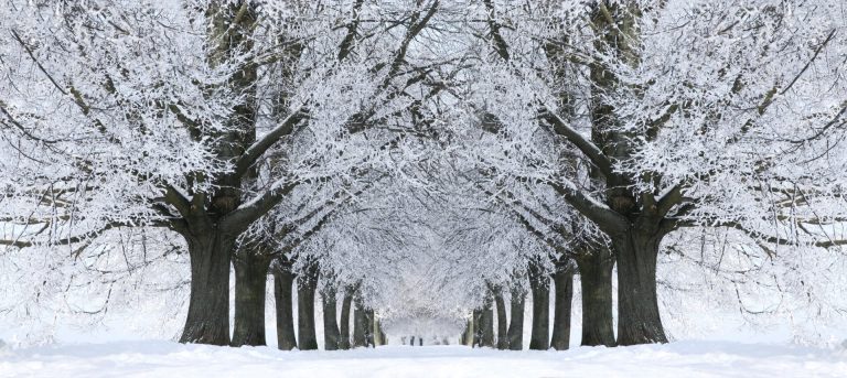 Ultima decade di Gennaio: l’inverno sale in cattedra?