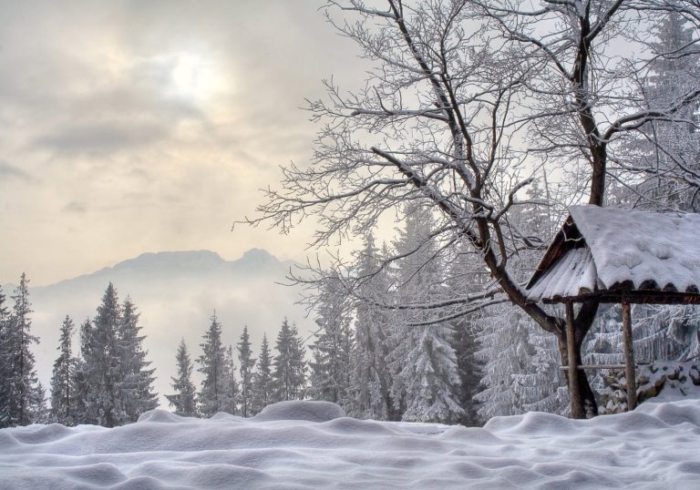 Meteo sino al 21 gennaio 2025: bassa pressione al Sud e anticiclone al Centro-Nord