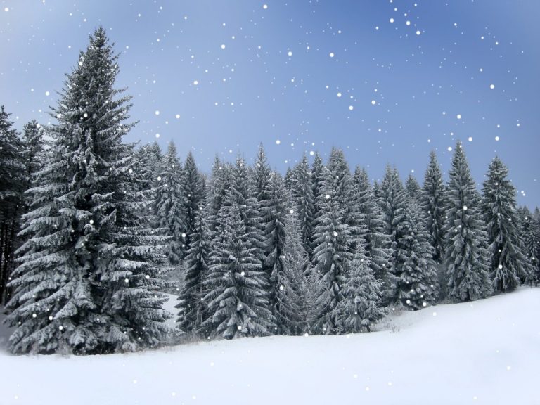 meteo-inverno:-torna-la-neve-su-alpi-e-appennini,-scenari-in-evoluzione