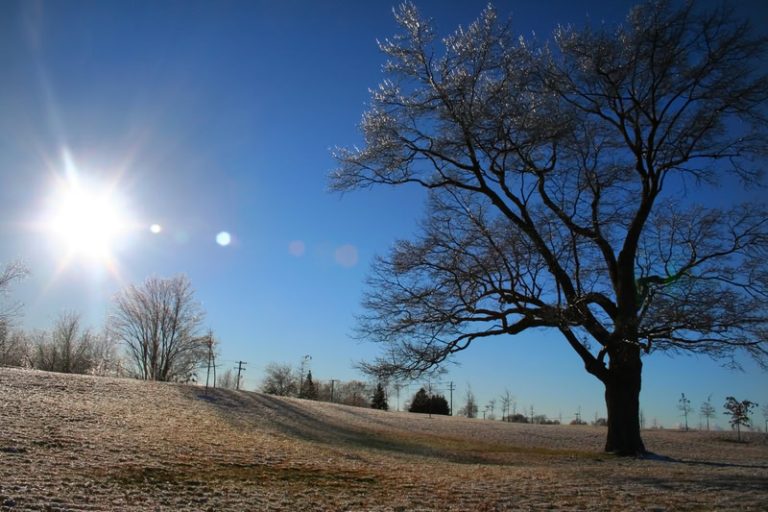 L’Inverno che non c’è più: quando il meteo diventa soleggiato