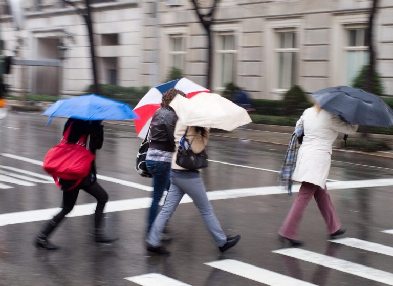 Meteo invernale o autunno ritardato? Una stagione anomala nel cuore dell’inverno