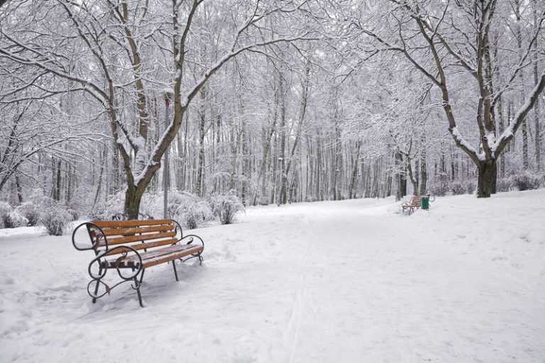 Neve in Italia: previste condizioni meteo estreme a Febbraio
