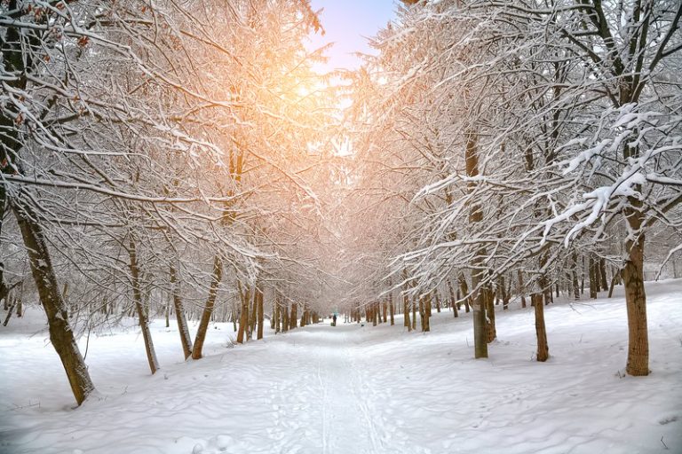 Meteo: generale Inverno pronto a tornare a Febbraio?