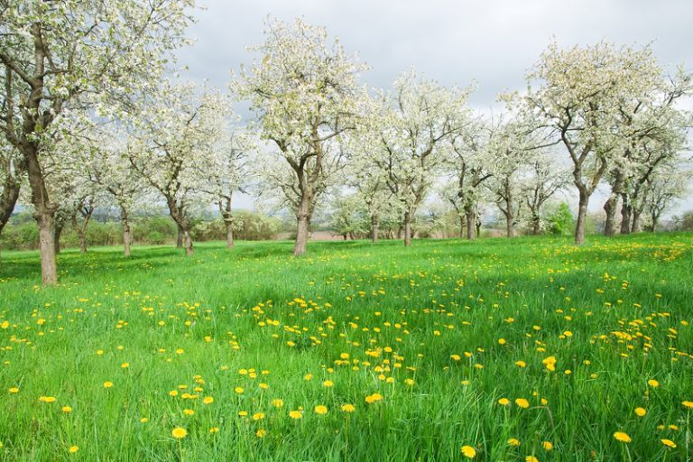 Meteo, Mega anticiclone: Febbraio e Marzo come Maggio