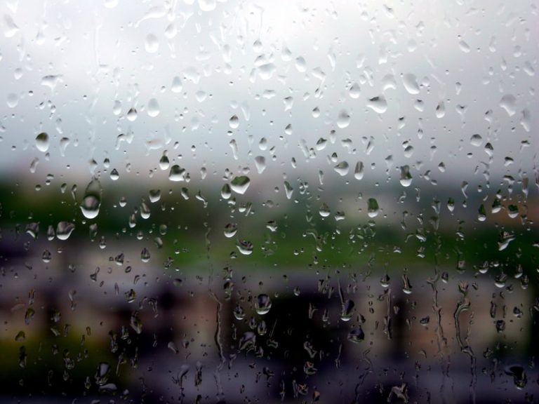 giorni-della-merla-dal-meteo-a-primavera?-anche-no