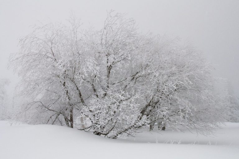 febbraio-e-il-gelo-storico-in-italia:-quando-l’inverno-era-davvero-inverno
