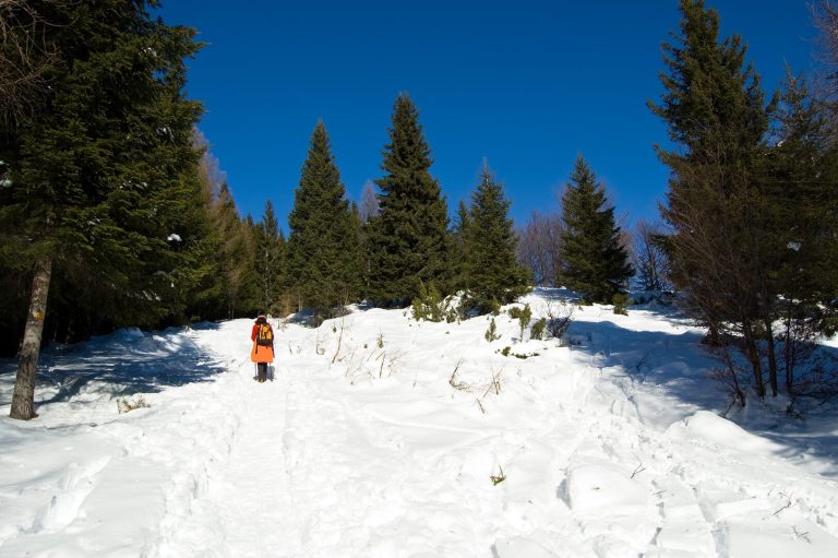 Meteo giorni della Merla 2025: clima fresco ma senza freddo estremo