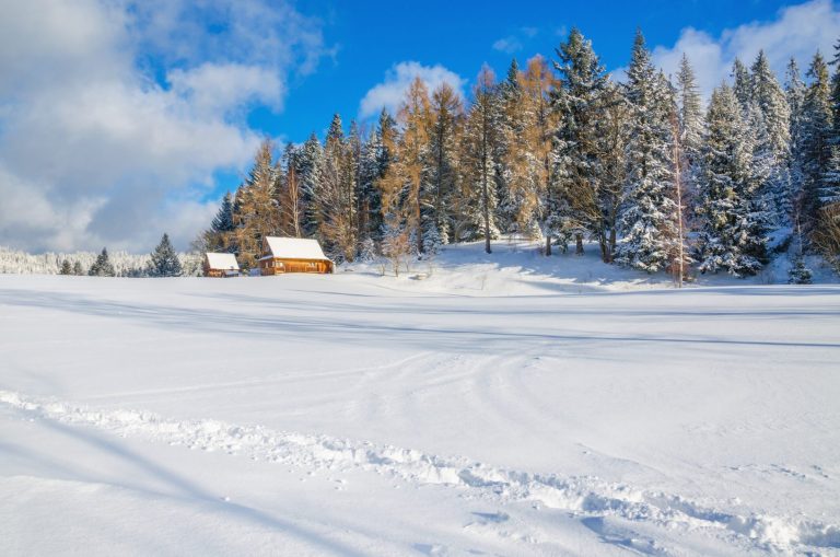 Meteo fine gennaio: tanta neve ma solo in alta quota, il freddo vero potrebbe arrivare a febbraio