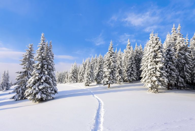 Parecchia neve a quote alte: colpo di scena meteo