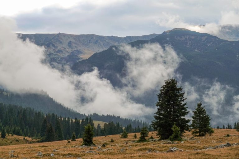 Meteo inverno: sempre più simile all’autunno, tra anticiclone e cambiamenti climatici