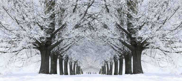 meteo:-neve-e-gelo-in-arrivo,-ecco-la-data-precisa