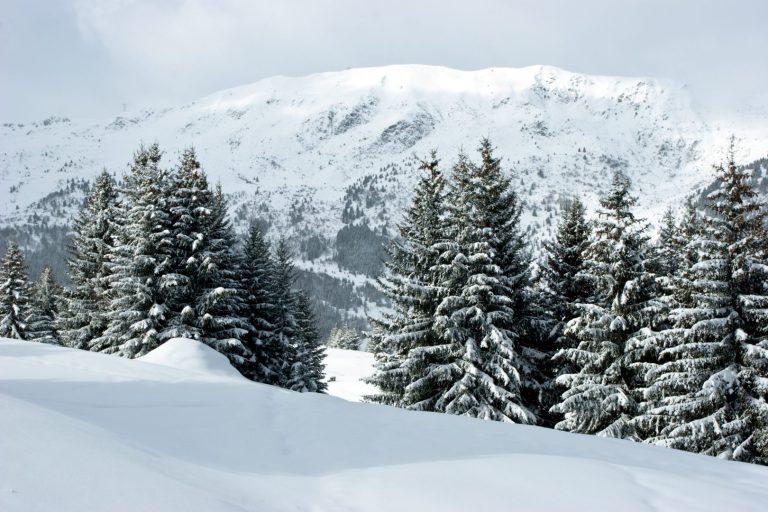 Meteo Italia: gelo siberiano in arrivo? Il ruolo della Russia e i possibili scenari invernali