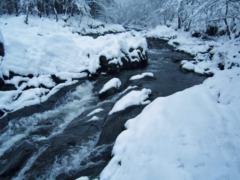meteo-febbraio-2025:-il-vortice-polare-potrebbe-portare-gelo-e-neve-in-italia-ed-europa