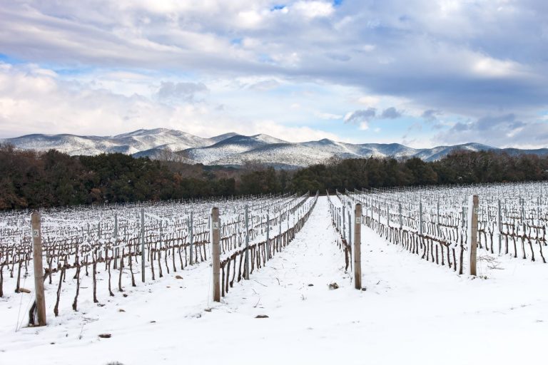 meteo-inverno:-il-gelo-del-2012-puo-ripetersi?-uno-sguardo-al-possibile-finale-della-stagione