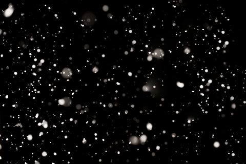Meteo inverno: neve in Pianura Padana in queste date