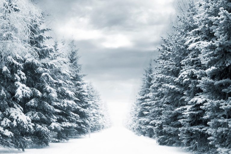 Meteo febbraio 2025: inverno verso la fine o colpo di coda gelido?
