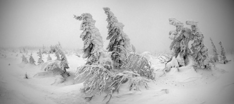Meteo febbraio: gelo siberiano alle porte, Italia coinvolta?