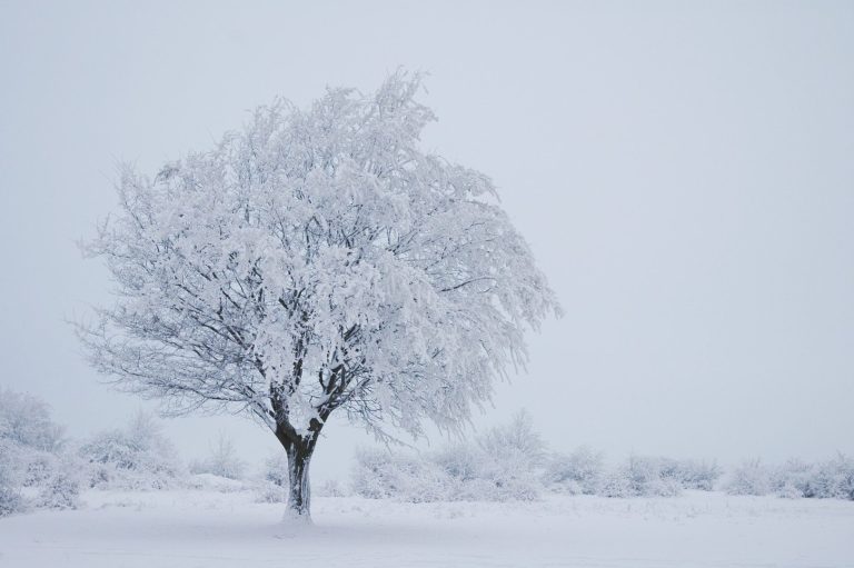 meteo-febbraio:-gelo-in-agguato,-italia-a-rischio-neve?