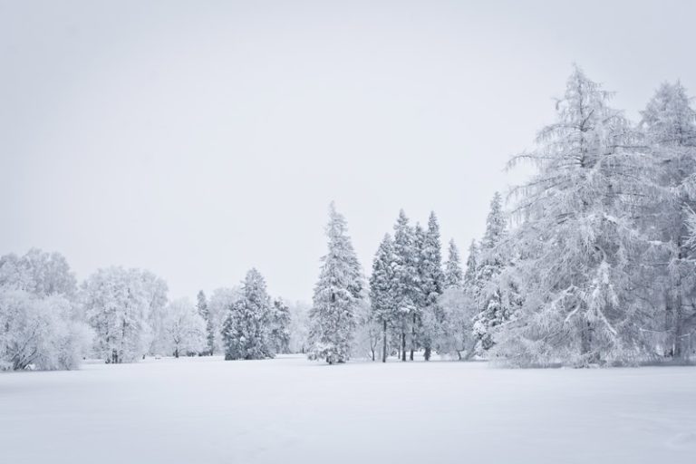 Meteo week-end: calo delle temperature con pioggia e neve