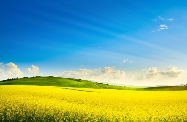 Meteo, gelo siberiano sull’Europa: Italia ancora protetta dall’anticiclone