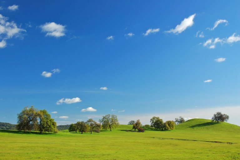 Meteo fine febbraio: possibile anticipo di primavera, ma occhio alle sorprese