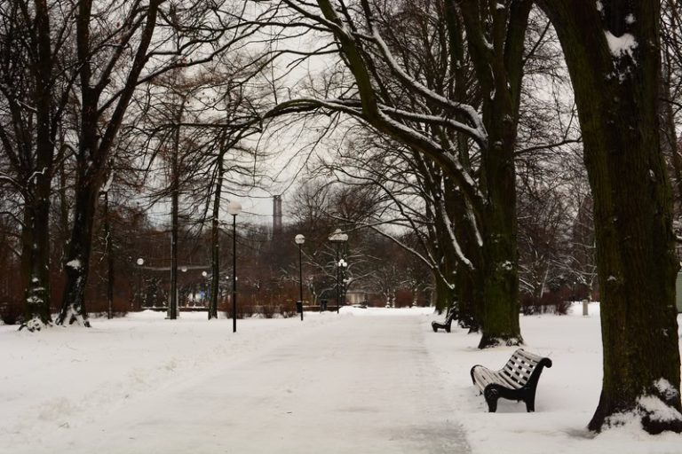Meteo a Marzo: freddo e neve in agguato?