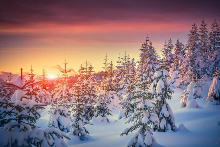 Meteo, ondata di gelo dalla Siberia: Europa nella morsa del freddo, Italia ancora protetta