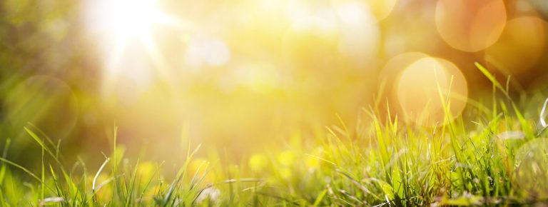 Dal gelido inverno alla primavera. Ecco le previsioni