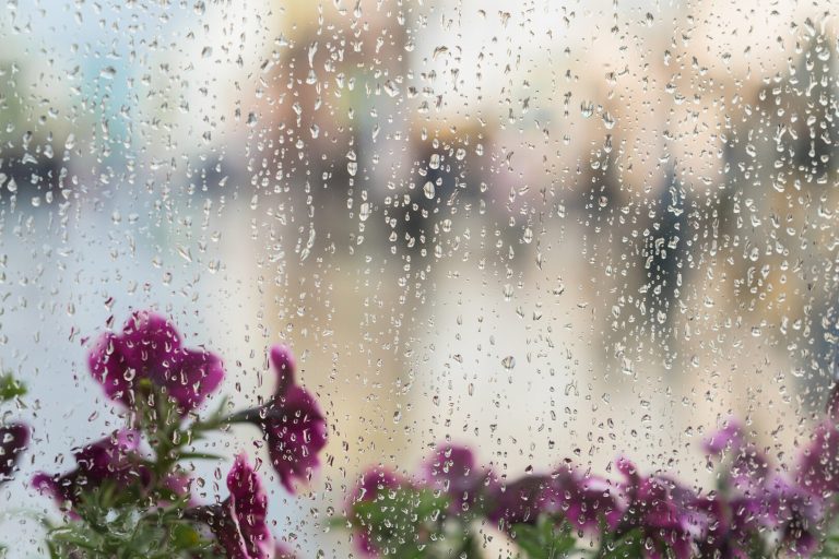 meteo:-fine-febbraio-con-un-colpo-di-scena