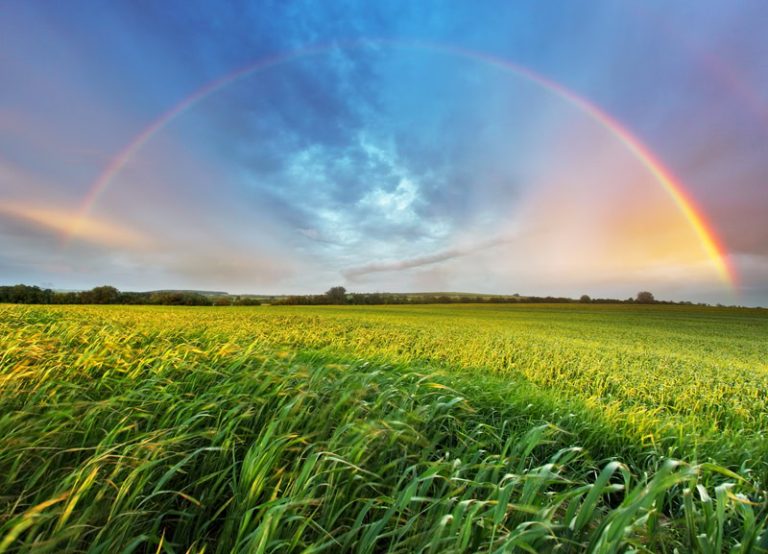 Primavera in arrivo? Non sembra proprio