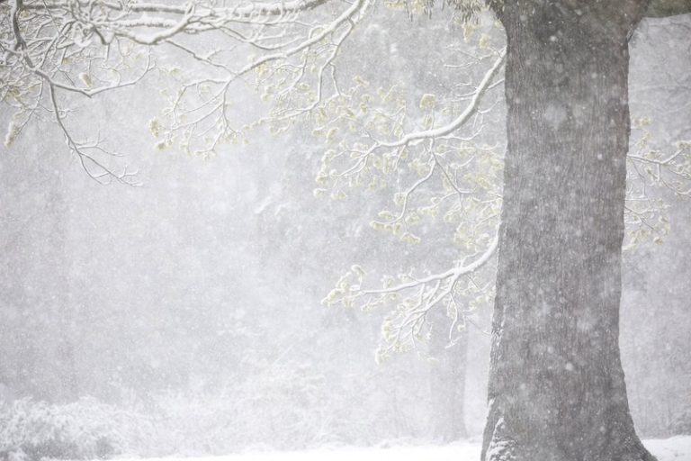 Meteo: Vortice Polare a pezzi, freddo in arrivo in Italia?