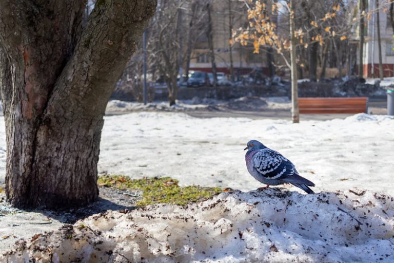 Il mese con il Meteo più invernale