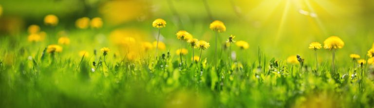 Meteo: Marzo con il botto, dal freddo al caldo