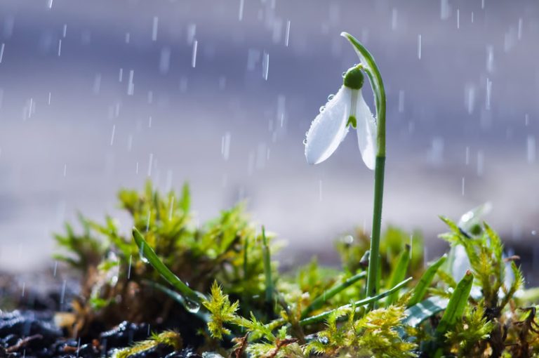 Meteo: da Lunedì 3 Marzo importanti novità