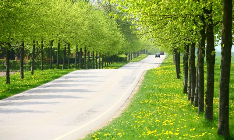 Meteo marzo: primavera esplosa in Italia, ma entro domenica arriva una forte perturbazione