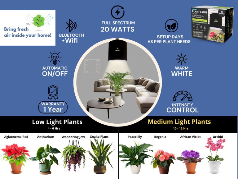basics:-plant-light-+-indoor-plants-=-healthier-air-&-healthier-you