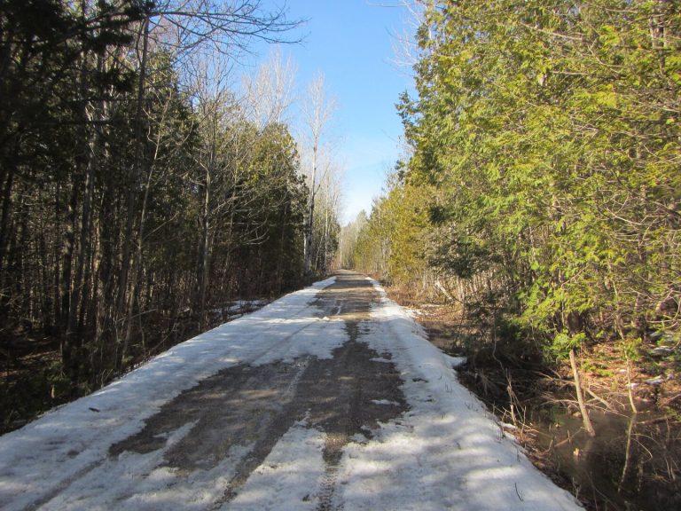 Meteo Canada 7 marzo: bufera di neve in arrivo in Ontario! Accumuli fino a 10 cm e gelo intenso